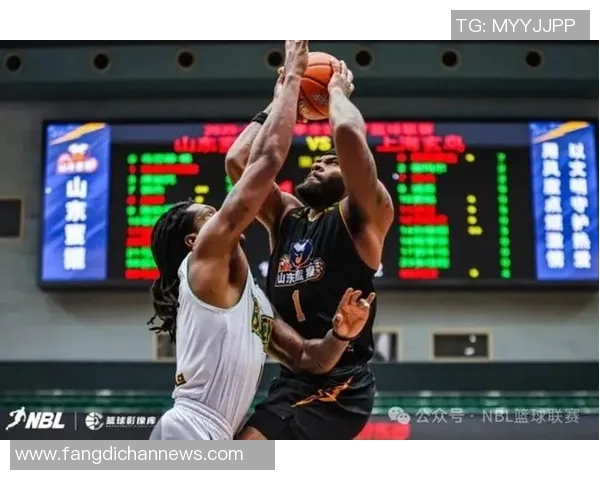 NBL战报：戴维斯30分10助，悉尼国王102-84轻取珀斯野猫